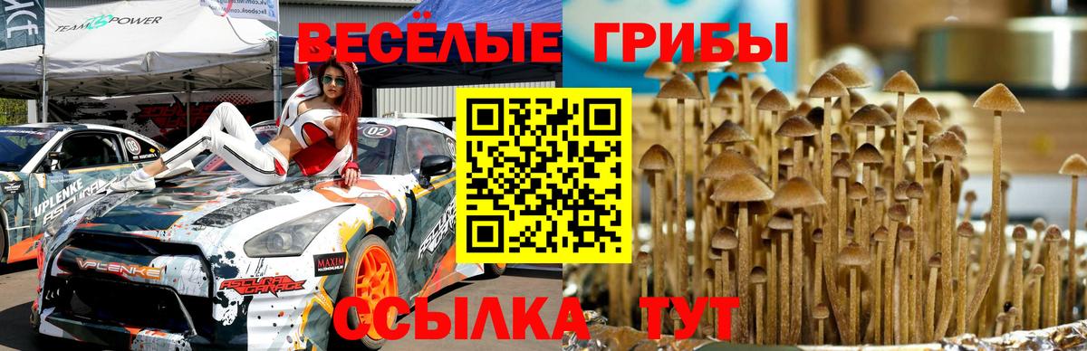 Псилоцибиновые грибы ЛСД  Вход с VPN  Галлюциногенные грибы ЛСД  Павлово 